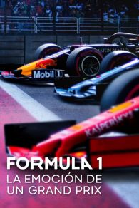 VER Formula 1: Drive to Survive Online Gratis HD